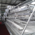 highly quality clean chicken manure machine with PP belt